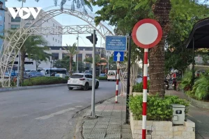 Biển P.101 đặt sai vị trí ở Hải Phòng? Giải mã biển cấm gây tranh cãi tại đường Phùng Chí Kiên