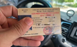 Bị trừ điểm GPLX nhưng chưa hết 12 điểm: bao lâu được phục hồi?