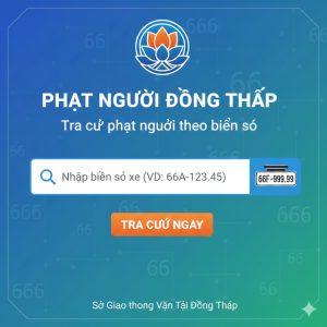 Phạt nguội Đồng Tháp – Tra cứu phạt nguội theo biển số 66 nhanh và chính xác