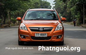 Phạt nguội Bình Định – Tra cứu phạt nguội theo biển số 77